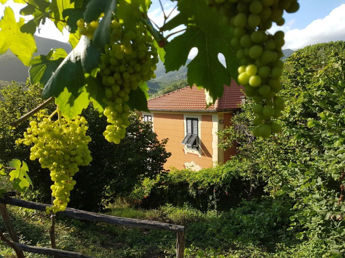 B&B Casa Del Priore Sestri Levante Eksteriør billede